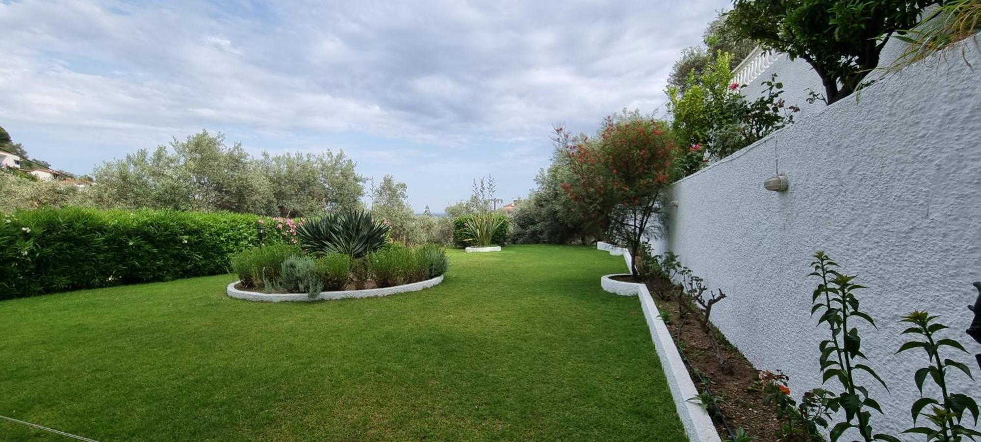 Olive Grove Studios شاطئ ميغالي أموس المظهر الخارجي الصورة