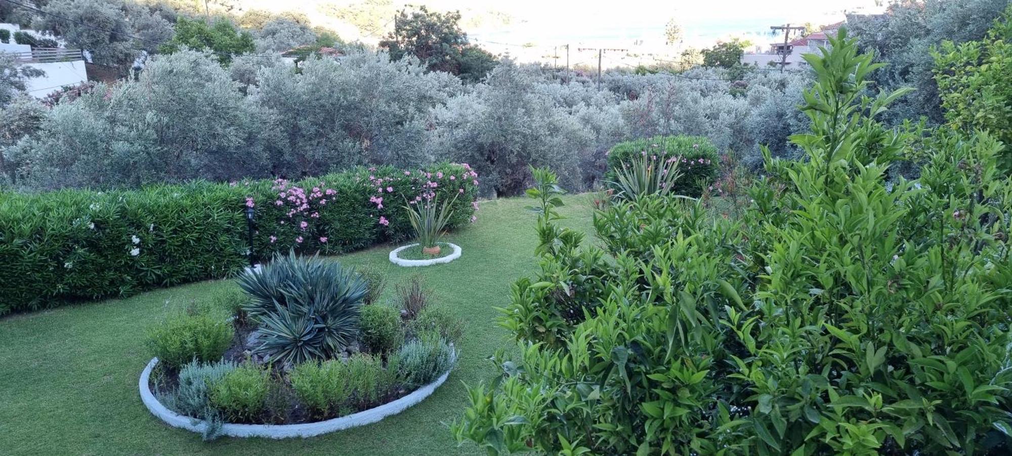 Olive Grove Studios شاطئ ميغالي أموس المظهر الخارجي الصورة