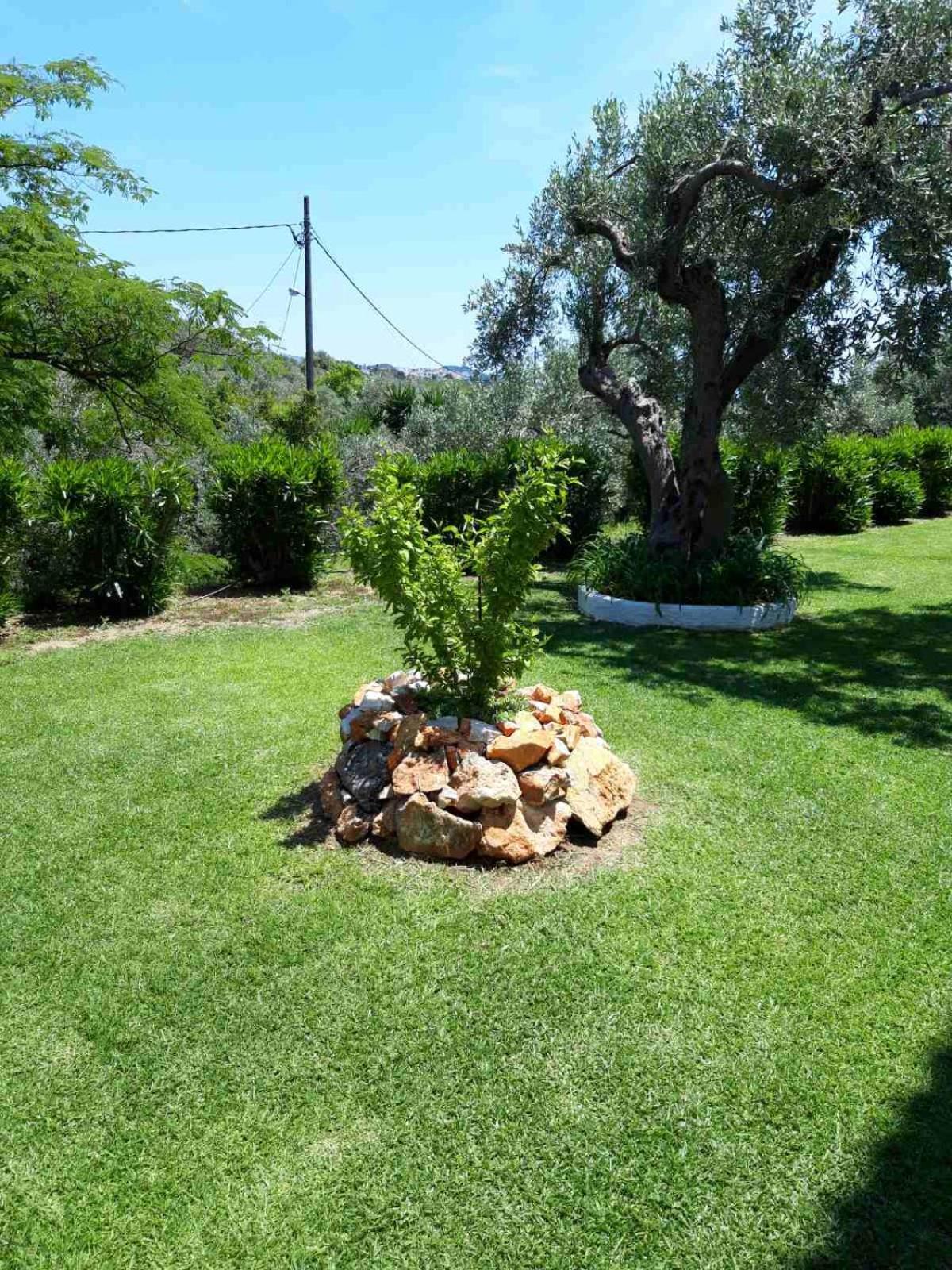 Olive Grove Studios شاطئ ميغالي أموس المظهر الخارجي الصورة