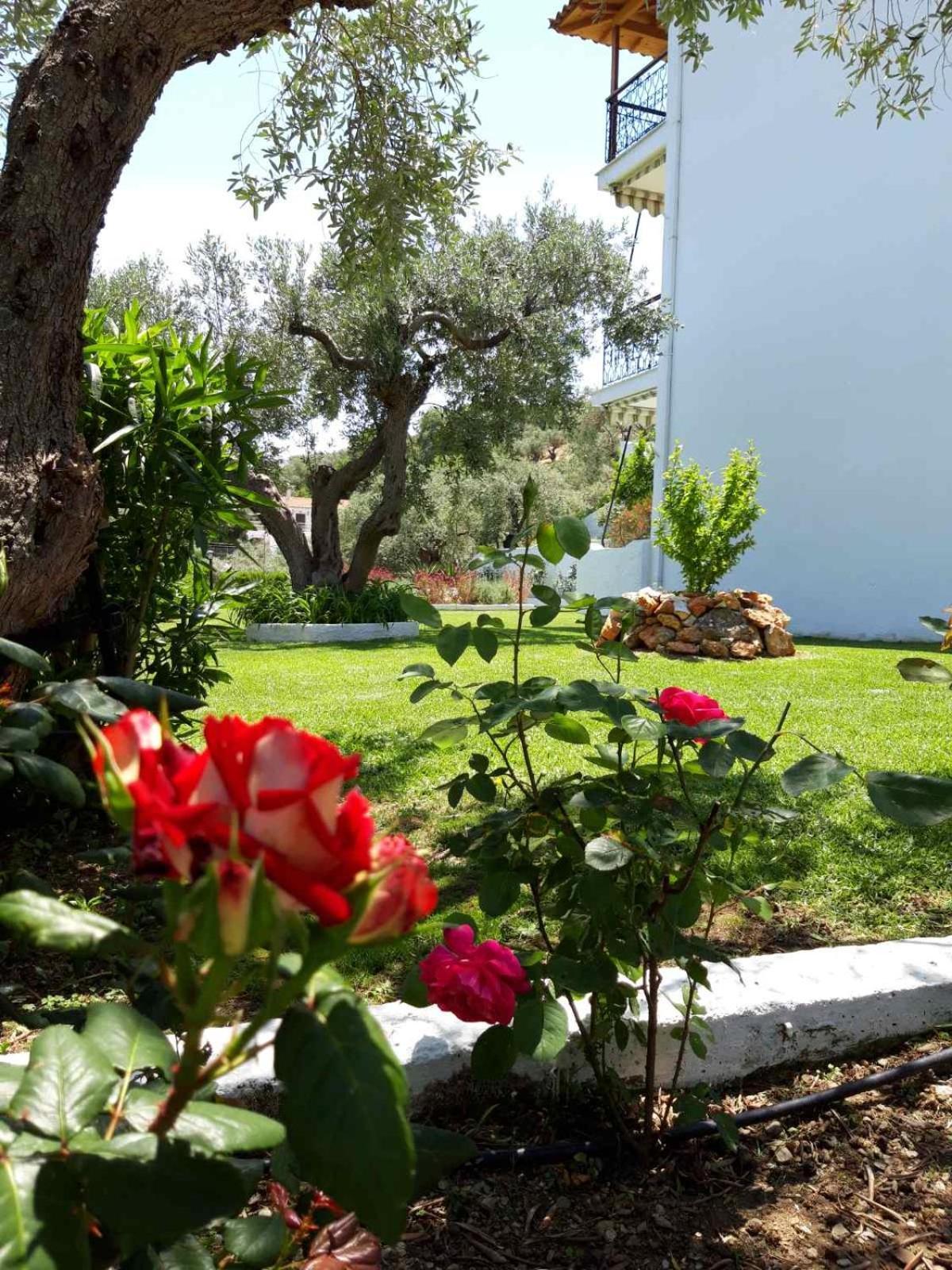 Olive Grove Studios شاطئ ميغالي أموس المظهر الخارجي الصورة