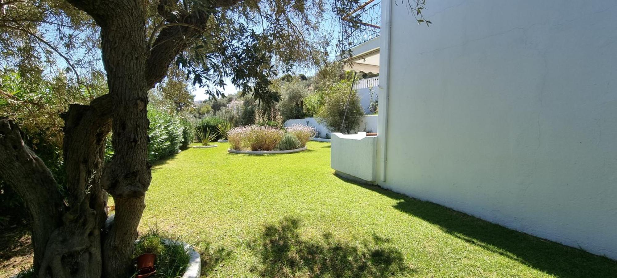 Olive Grove Studios شاطئ ميغالي أموس المظهر الخارجي الصورة